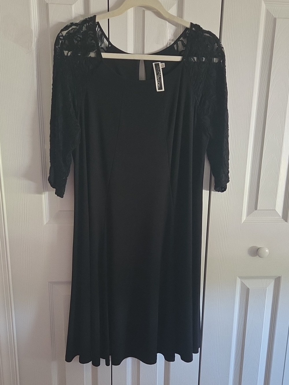 Black Lace Sleeve A-Line Dress -